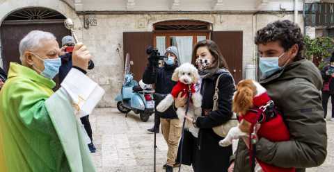 Bari, la "benedizione degli animali": un'antica tradizione nel segno di Sant'Antonio Abate 